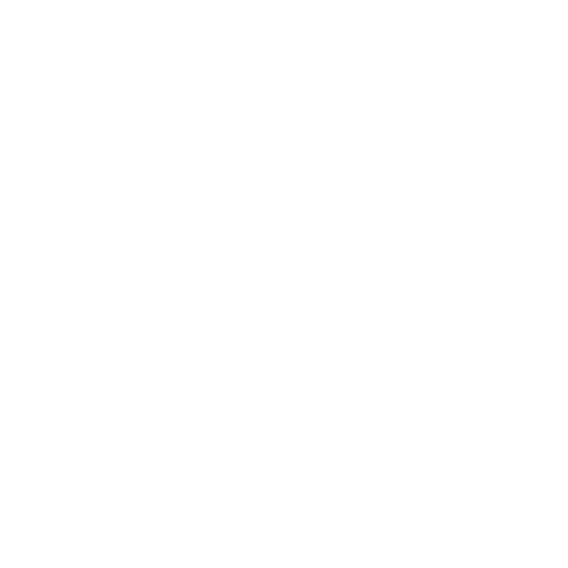 Chauvet Professional